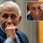 fauci-gave-off-‘signals-of-deception’-during-senate-hearing,-body-language-expert-says
