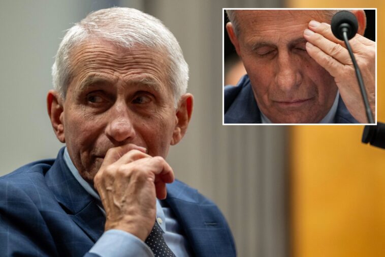fauci-gave-off-‘signals-of-deception’-during-senate-hearing,-body-language-expert-says