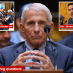 the-5-most-shocking-moments-from-anthony-fauci’s-senate-covid-testimony