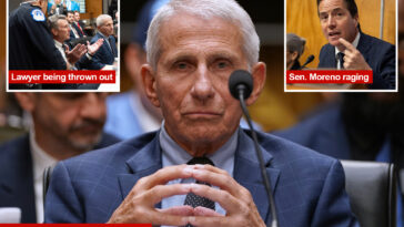 the-5-most-shocking-moments-from-anthony-fauci’s-senate-covid-testimony