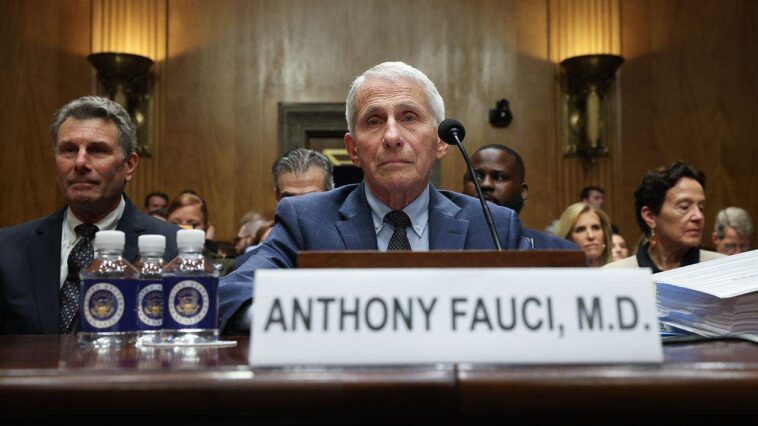 top-5-moments-from-fauci’s-hearing:-paul-boots-lawyer,-moreno-erupts-as-contempt-vote-looms