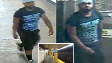 stranger-shoves-man,-62,-into-nyc-subway-station-pillar,-fracturing-his-skull:-cops