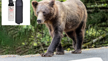 elderly-woman-unleashes-drive-by-bear-spray-attack-in-trader’s-joe’s-parking-lot