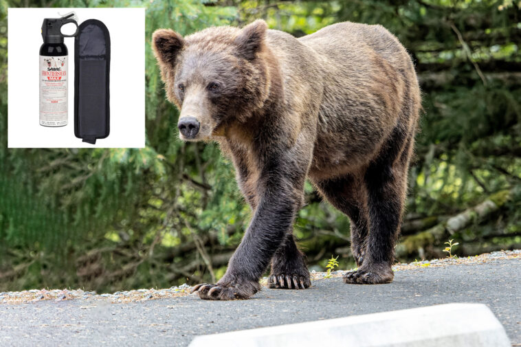 elderly-woman-unleashes-drive-by-bear-spray-attack-in-trader’s-joe’s-parking-lot