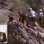 dramatic-moment-oscar-winning-disney-titan-is-rescued-from-arizona-mountain-in-scorching-heat