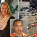 california-mall-stabbing-suspect’s-twisted-past-revealed-—-before-butchering-beloved-artist