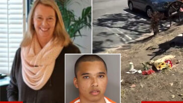 california-mall-stabbing-suspect’s-twisted-past-revealed-—-before-butchering-beloved-artist