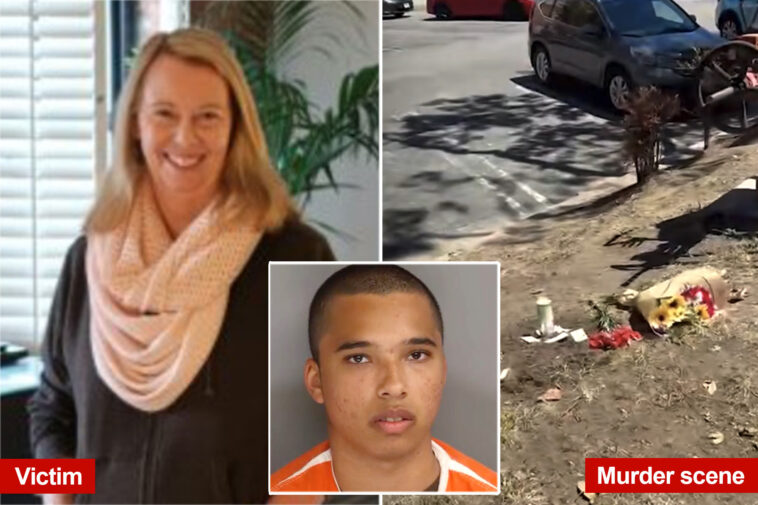 california-mall-stabbing-suspect’s-twisted-past-revealed-—-before-butchering-beloved-artist