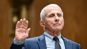 moms-for-liberty-co-founder-rips-fauci-after-fifth-amendment-plea,-‘america-deserves-an-apology’