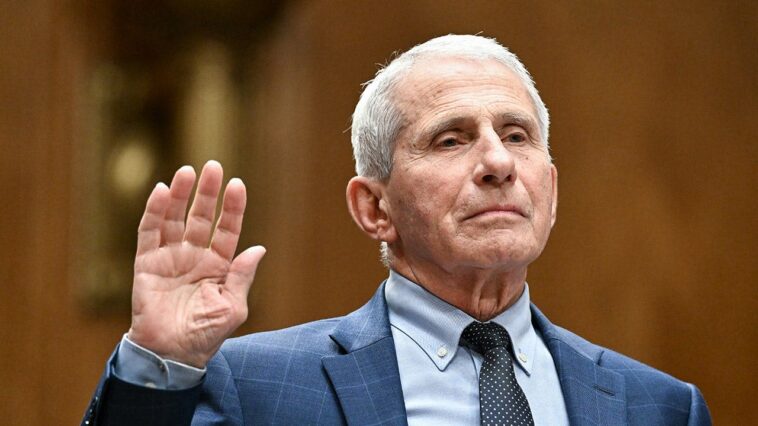 moms-for-liberty-co-founder-rips-fauci-after-fifth-amendment-plea,-‘america-deserves-an-apology’