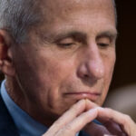 nolte:-fauci-and-the-fifth-just-threw-the-‘cult-of-fauci’-under-the-bus
