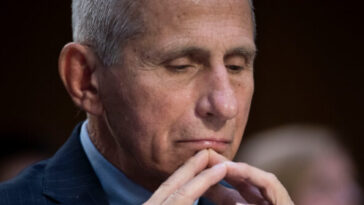 nolte:-fauci-and-the-fifth-just-threw-the-‘cult-of-fauci’-under-the-bus
