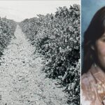 teen-found-in-shallow-california-vineyard-grave-identified-nearly-50-years-later-as-family-warns-killer