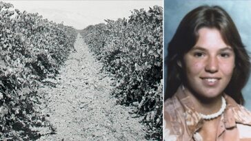 teen-found-in-shallow-california-vineyard-grave-identified-nearly-50-years-later-as-family-warns-killer