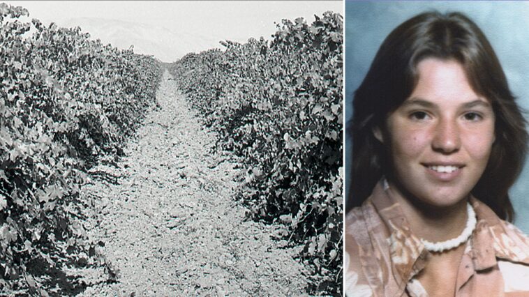 teen-found-in-shallow-california-vineyard-grave-identified-nearly-50-years-later-as-family-warns-killer