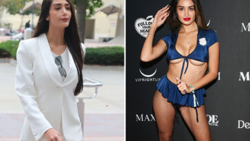 penthouse-pet-turned-incorrigible-sugar-daddy-thief-arrested-again