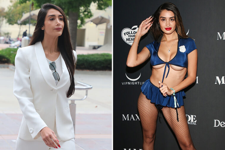 penthouse-pet-turned-incorrigible-sugar-daddy-thief-arrested-again