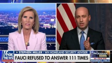 stephen-miller-goes-off-on-dr.-fauci-after-explosive-senate-hearing-(video)
