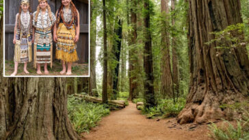 critical-salmon-habitat-and-125-acres-of-land-handed-over-to-indigenous-ca-tribe-after-gold-rush-era-loss
