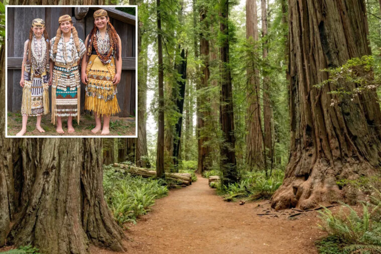 critical-salmon-habitat-and-125-acres-of-land-handed-over-to-indigenous-ca-tribe-after-gold-rush-era-loss