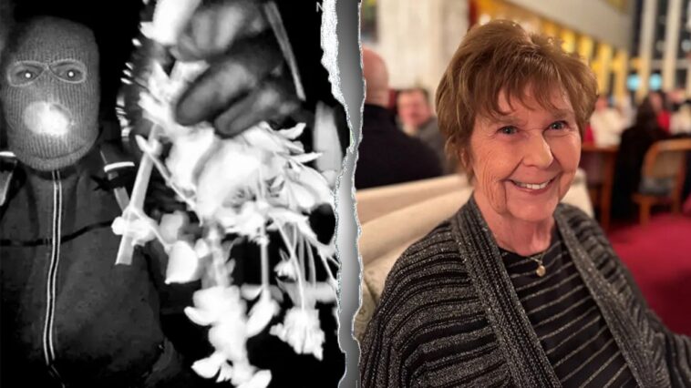 nancy-guthrie-case:-unclaimed-$1.2m-reward-suggests-‘very-small-circle’-of-suspects,-retired-fbi-agent-says