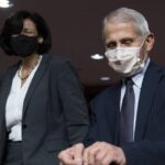 morning-glory:-the-fauci-diaries-and-legacy-media’s-platinum-dome-under-stress