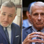 dr-anthony-fauci-‘america’s-most-damaging-bureaucrat,’-‘should-go-to-jail,’-sen.-ted-cruz-says
