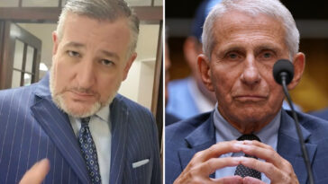 dr-anthony-fauci-‘america’s-most-damaging-bureaucrat,’-‘should-go-to-jail,’-sen.-ted-cruz-says