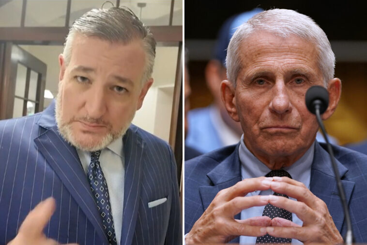 dr-anthony-fauci-‘america’s-most-damaging-bureaucrat,’-‘should-go-to-jail,’-sen.-ted-cruz-says