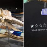 ‘worst-aquarium-ever’-review-sends-whaling-museum’s-sales-soaring-250%