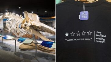 ‘worst-aquarium-ever’-review-sends-whaling-museum’s-sales-soaring-250%