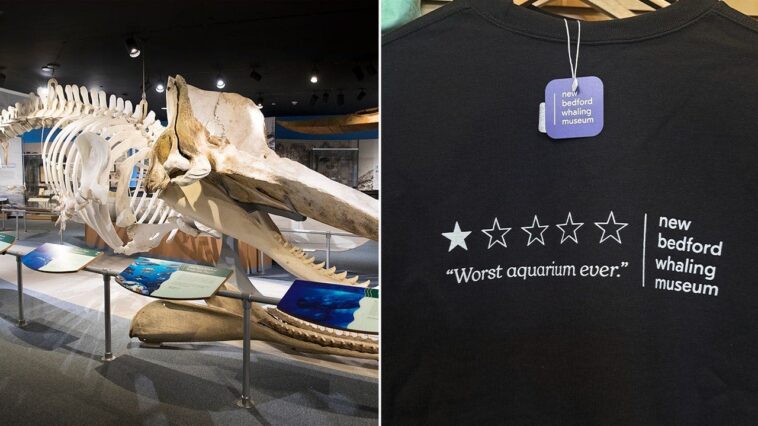 ‘worst-aquarium-ever’-review-sends-whaling-museum’s-sales-soaring-250%