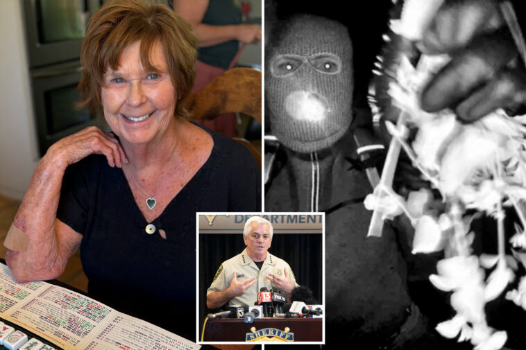 sheriff-discloses-‘complex-and-time-intensive’-analysis-in-nancy-guthrie-search-as-six-month-mark-nears