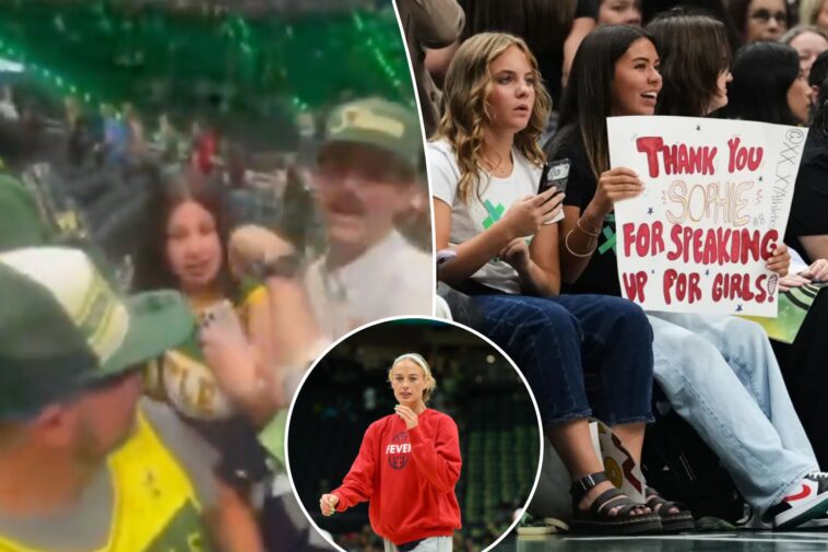 new-video-emerges-showing-storm-fan,-sophie-cunningham-supporters-clashing-in-tense-scene