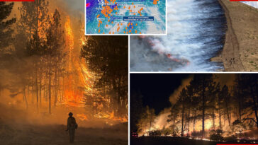 unprecedented-pacific-northwest-wildfires-burn-over-1m-acres-as-major-blazes-rage-on