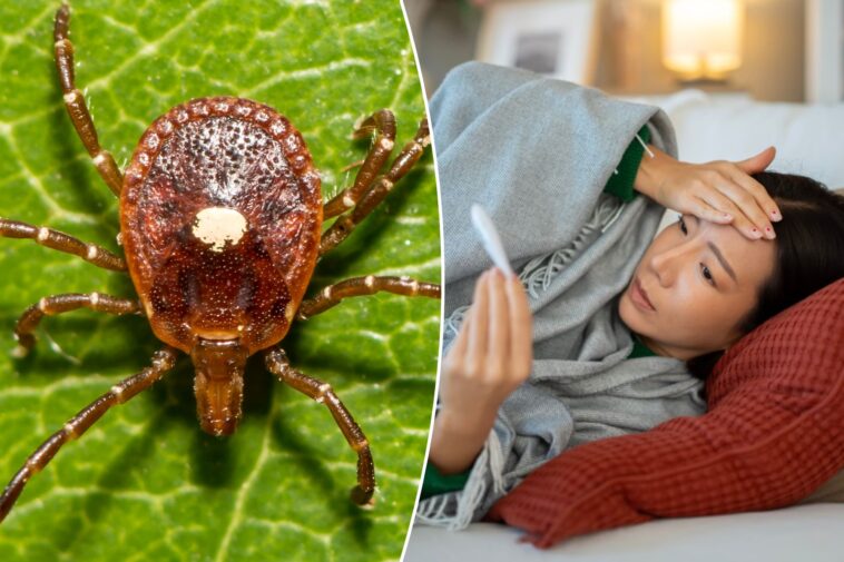 first-case-of-untreatable,-potentially-fatal-bourbon-virus-confirmed-in-new-york