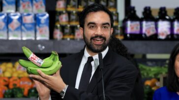 new-york-city-immigrant-business-owners-are-planning-to-sue-mamdani-over-taxpayer-funded-supermarkets