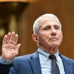 top-doc-defends-fauci,-urges-americans-to-forget-lab-leak-theory-in-fiery-debate