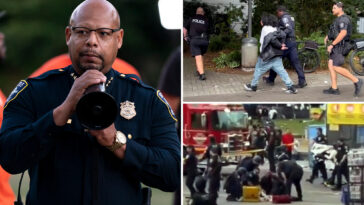 seattle-police-chief-shon-barnes-fired-after-bungled-response-to-food-festival-mass-shooting:-reports