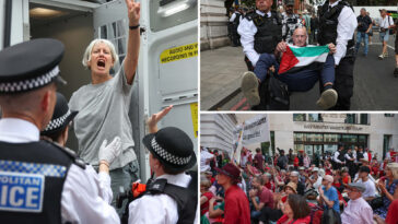 dozens-arrested-in-london-after-supporting-banned-palestine-action-protest-group