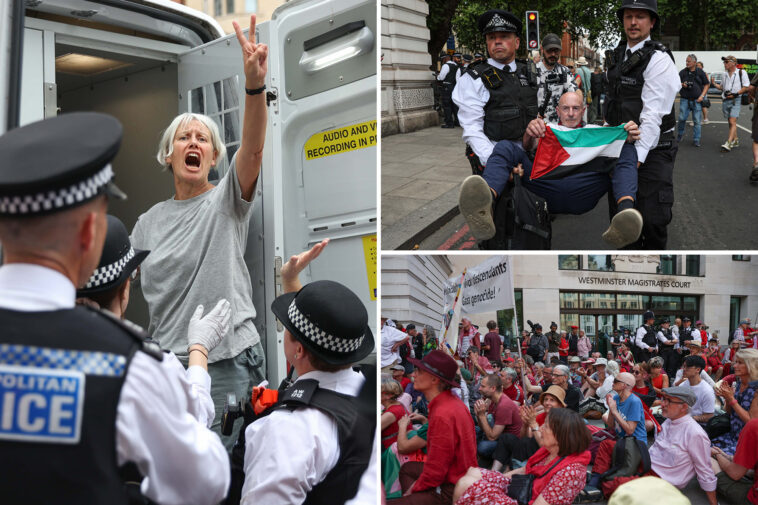 dozens-arrested-in-london-after-supporting-banned-palestine-action-protest-group