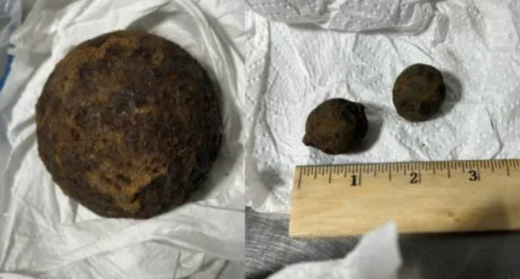a-routine-tsa-bag-check-turned-into-an-‘indiana-jones’-mystery