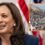 spain-turns-to-experienced-border-czar-kamala-harris-for-help-with-migrant-invasion