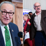 ‘journalist’-heckles-chuck-schumer-during-anti-corruption-bureau-event:-‘show-your-genocidal-face’