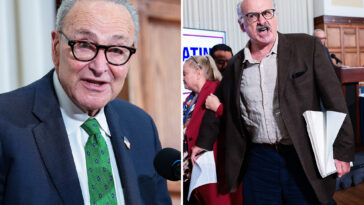 ‘journalist’-heckles-chuck-schumer-during-anti-corruption-bureau-event:-‘show-your-genocidal-face’