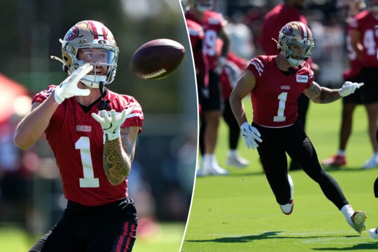 fear-grows-that-49ers-wr-injury-could-be-season-ending