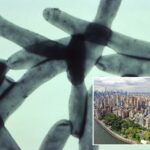 seventh-person-dies-in-nyc-legionnaires’-disease-outbreak