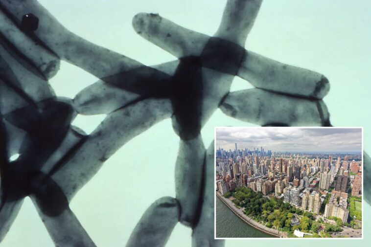 seventh-person-dies-in-nyc-legionnaires’-disease-outbreak