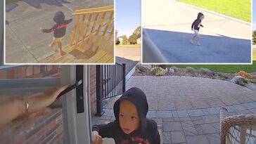daring-idaho-tot,-3,-sneaks-out-of-home-and-runs-half-mile-—-crossing-a-50-mph-road-—-to-grandma’s-house