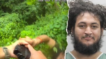 ice-lodges-detainer-for-illegal-immigrant-accused-of-trying-to-disarm-virginia-police-officer